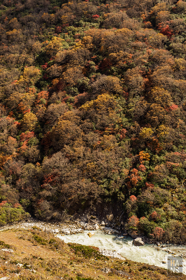 EBC珠峰基地營丁伯崎Dingboche