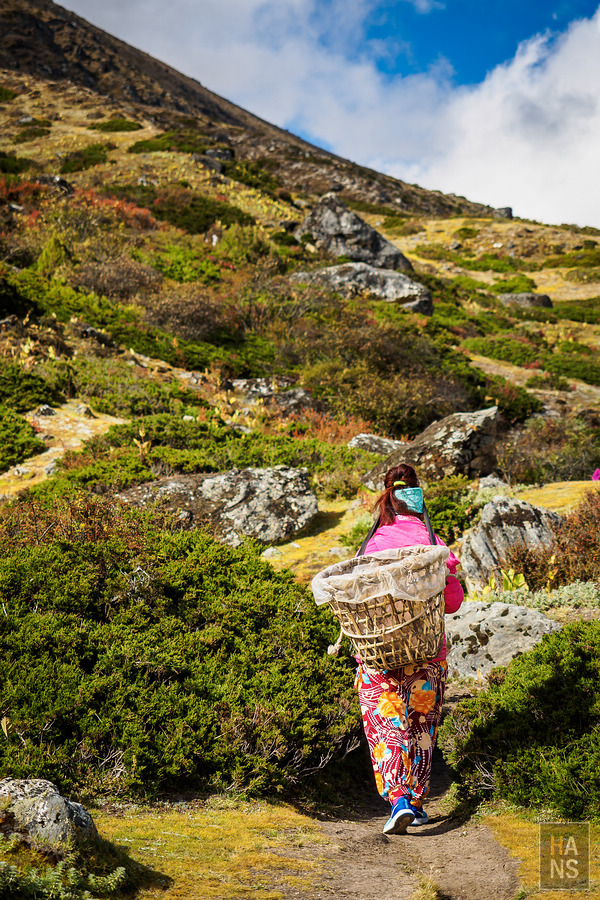 EBC珠峰基地營丁伯崎Dingboche