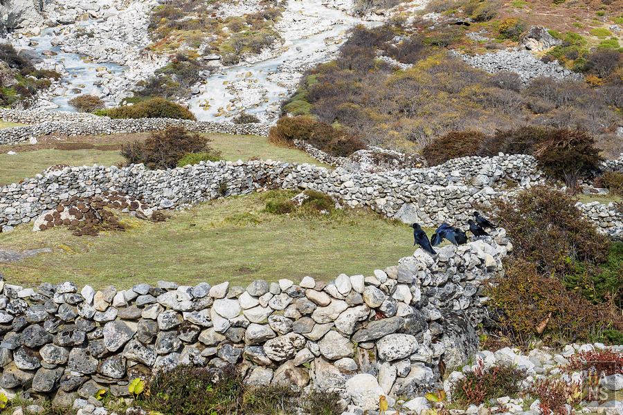 EBC珠峰基地營丁伯崎Dingboche