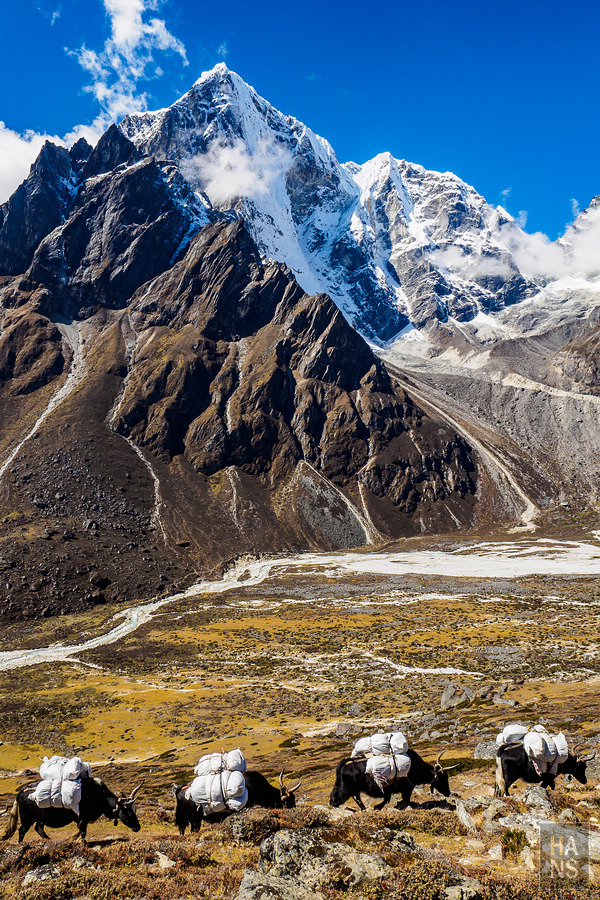 EBC珠峰基地營羅伯崎Lobuche