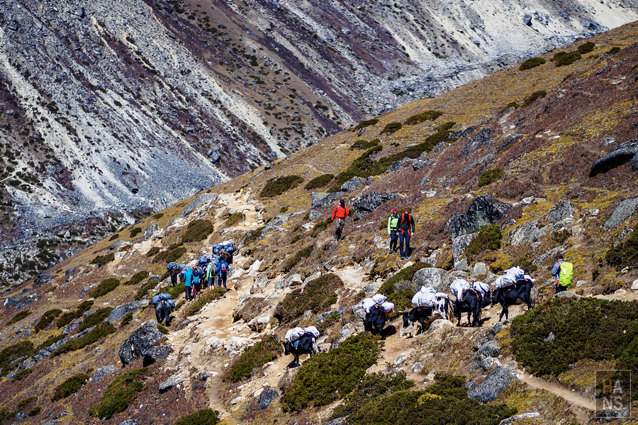 EBC珠峰基地營羅伯崎Lobuche