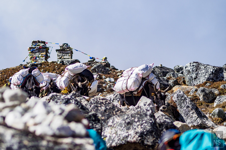 EBC珠峰基地營羅伯崎Lobuche