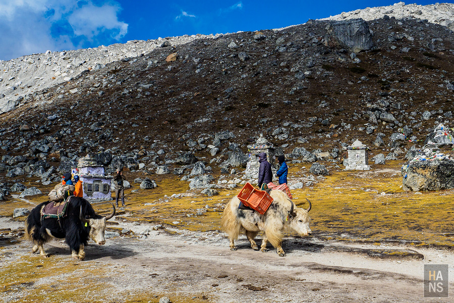 EBC珠峰基地營羅伯崎Lobuche