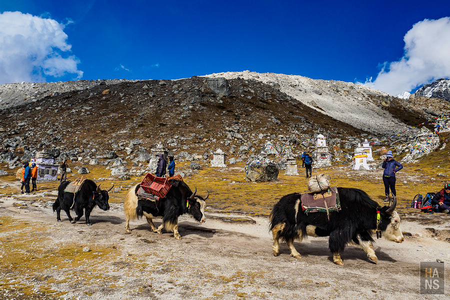 EBC珠峰基地營羅伯崎Lobuche