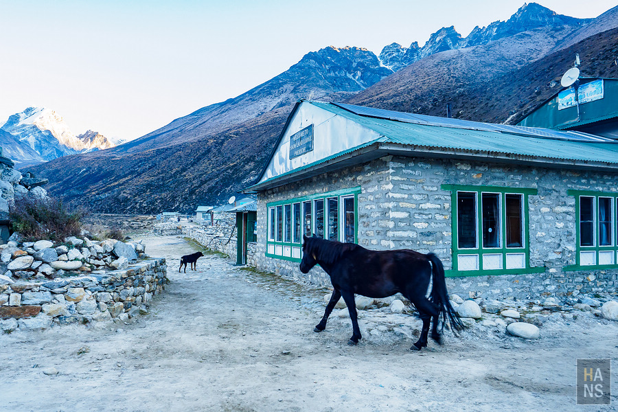 EBC珠峰基地營-從 Pheriche 翡麗綺走到 Namche Bazaar 南崎巴札