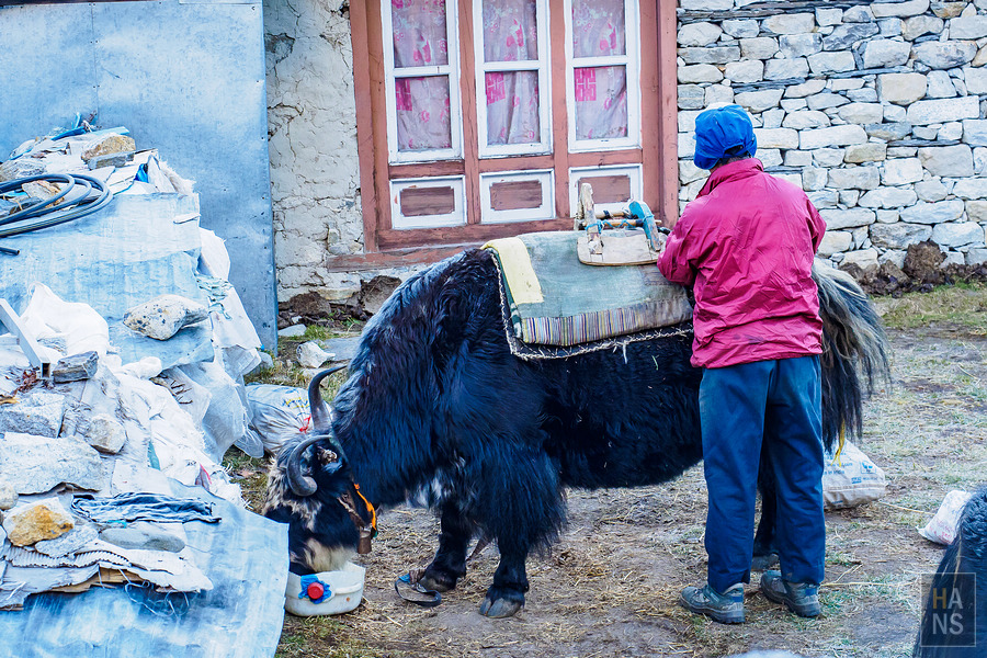 EBC珠峰基地營-從 Pheriche 翡麗綺走到 Namche Bazaar 南崎巴札