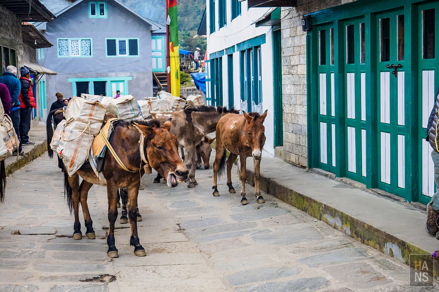 EBC珠峰基地營-從 Namche Bazaar 南崎巴札走到 Lukla 盧卡拉