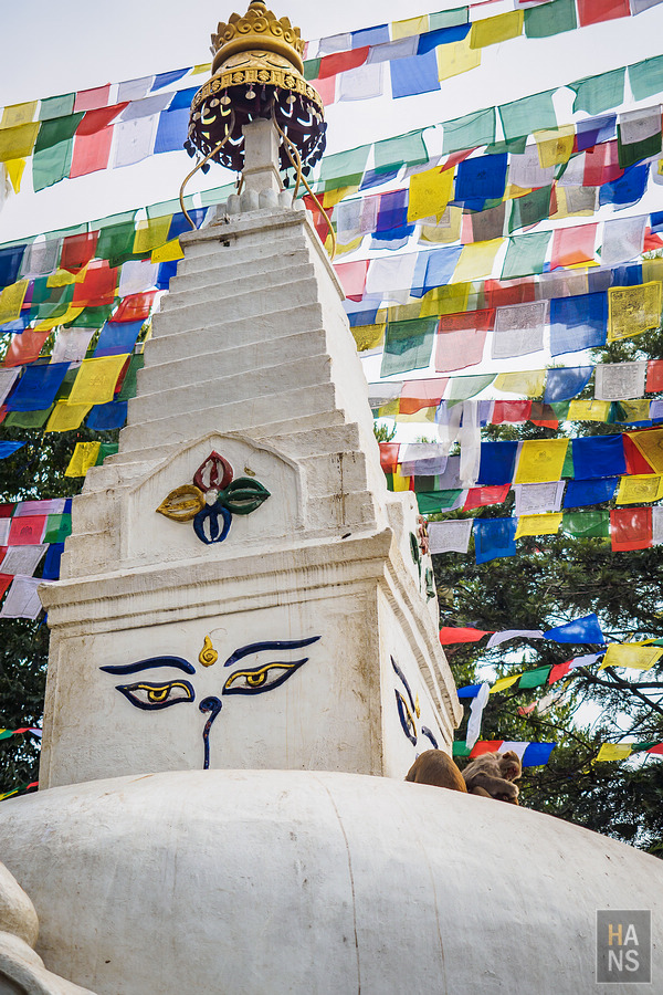 Swayambhunath Temple 斯瓦揚布納特寺、猴廟、四眼天神廟