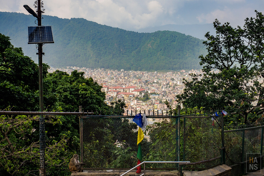 Swayambhunath Temple 斯瓦揚布納特寺、猴廟、四眼天神廟