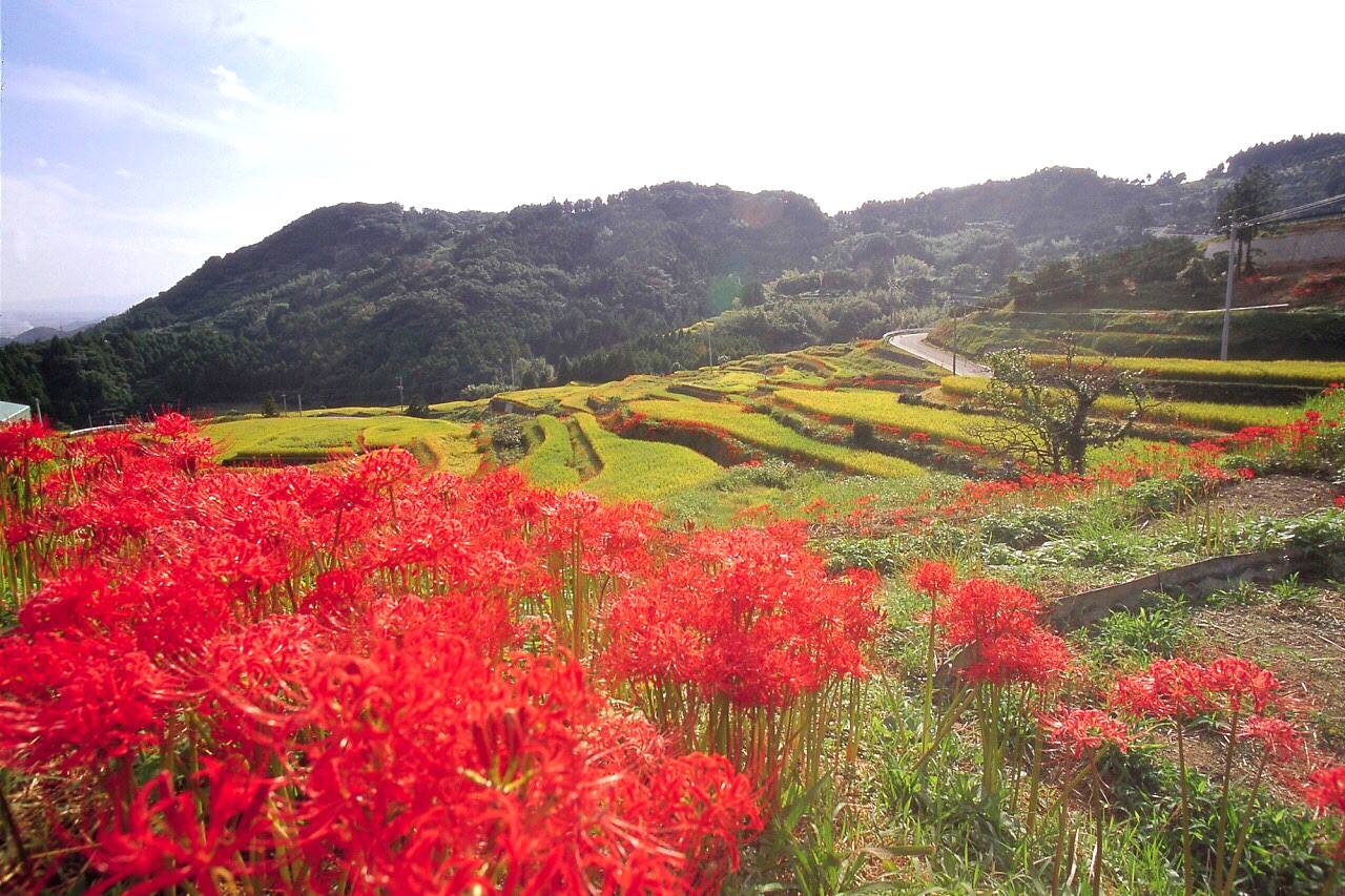 佐賀縣小城市旅行