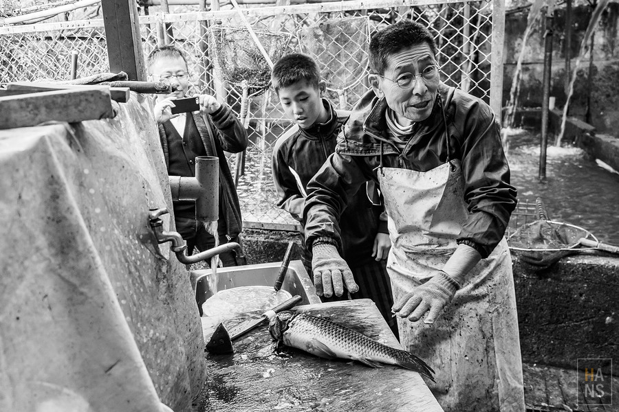 ひのでや鯉魚料理