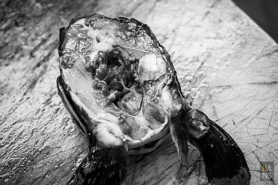 ひのでや鯉魚料理