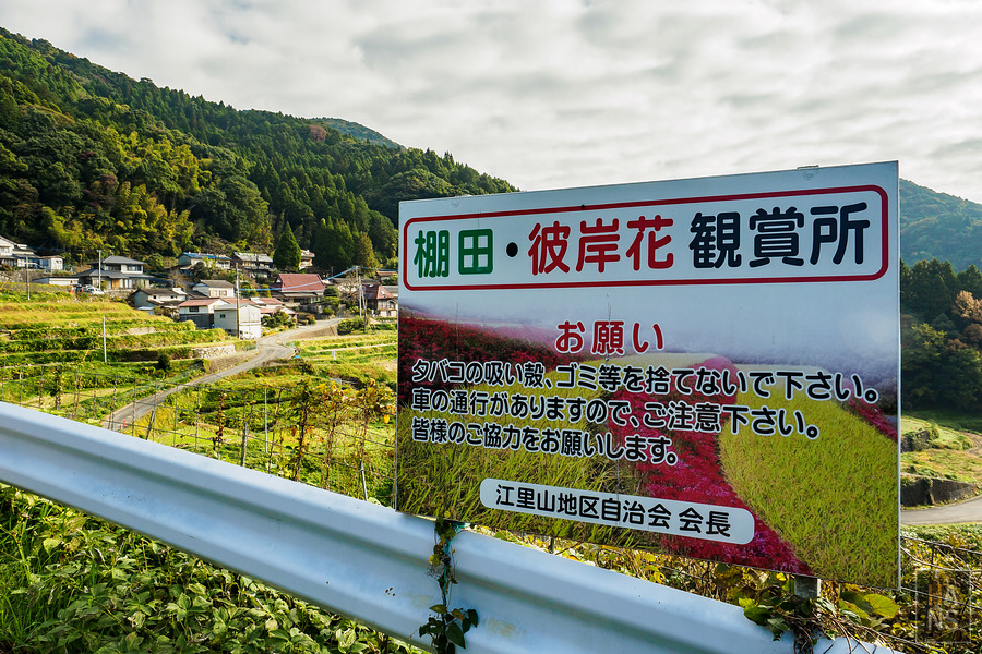 佐賀縣小城市旅行
