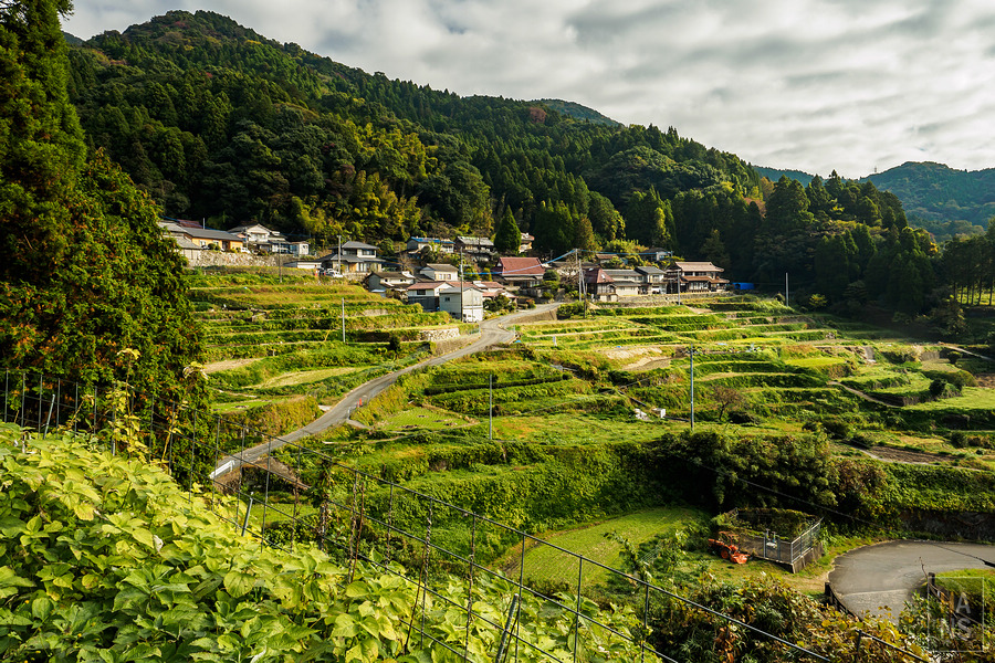 佐賀縣小城市旅行