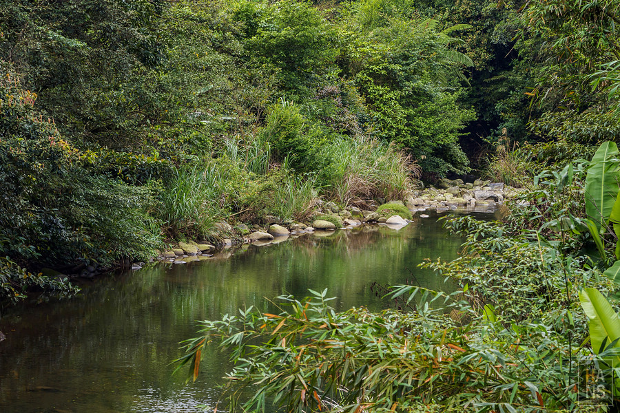 淡蘭古道烏山古道