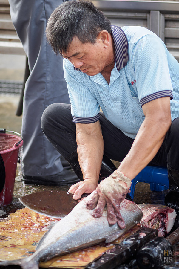 澎湖海釣