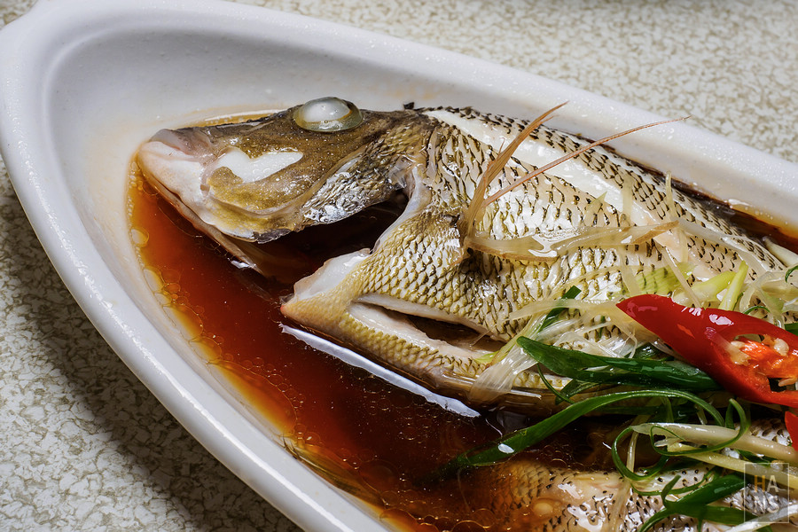 澎湖海釣