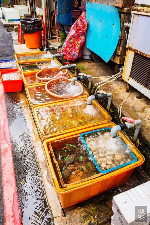 台灣好湯金山萬里溫泉小旅行