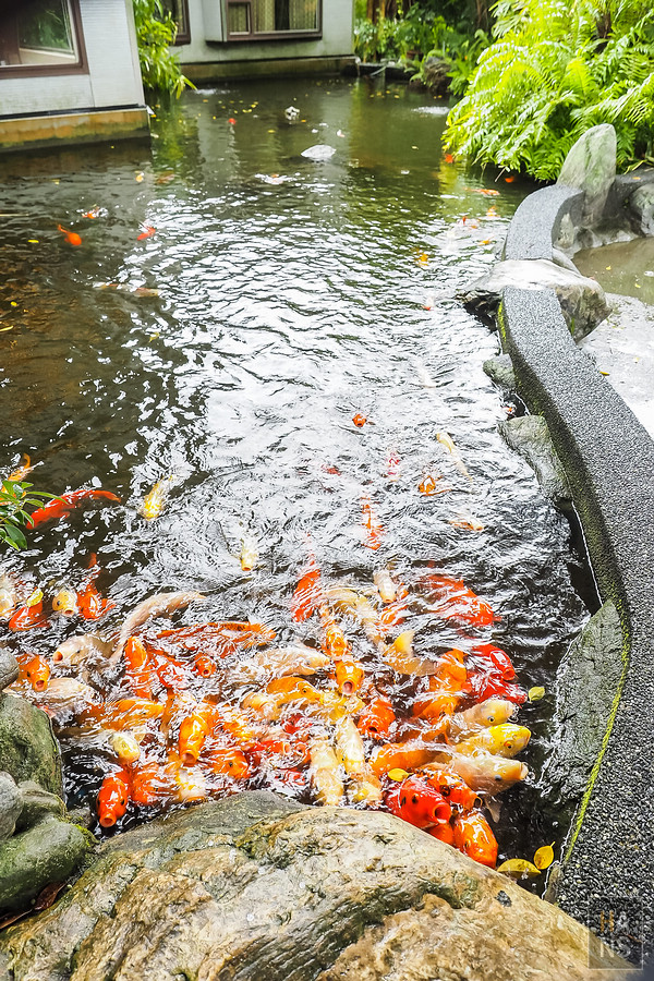 花蓮金澤居民宿 Kanazawa House