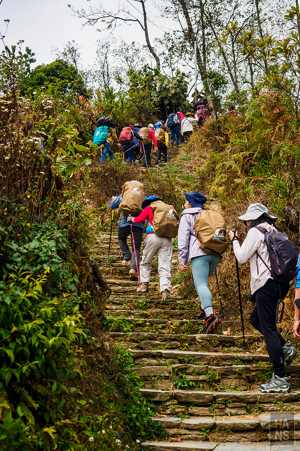 馬蹄山群健行 Mardi Himal Trek