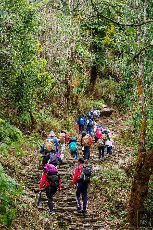 馬蹄山群健行 Mardi Himal Trek