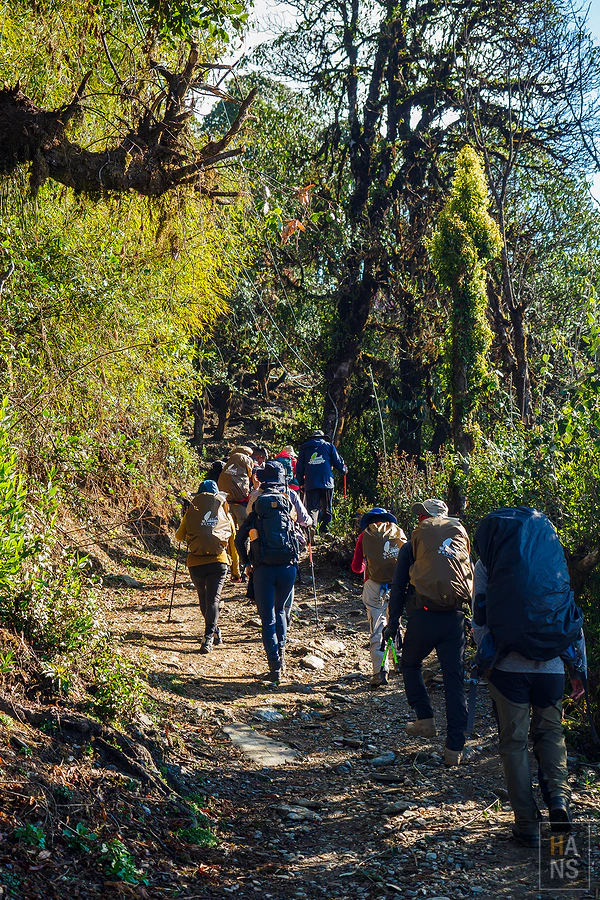 馬蹄山群健行 Mardi Himal Trek