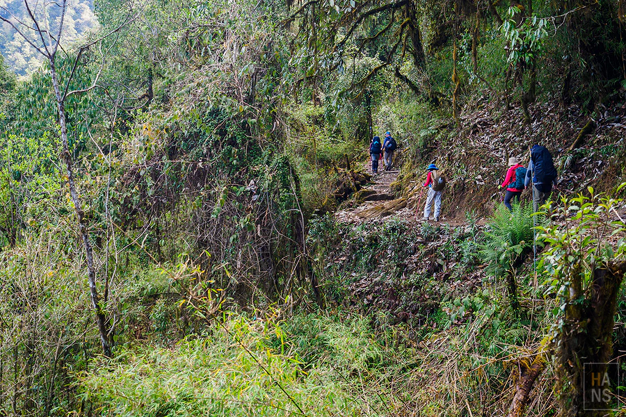 馬蹄山群健行 Mardi Himal Trek