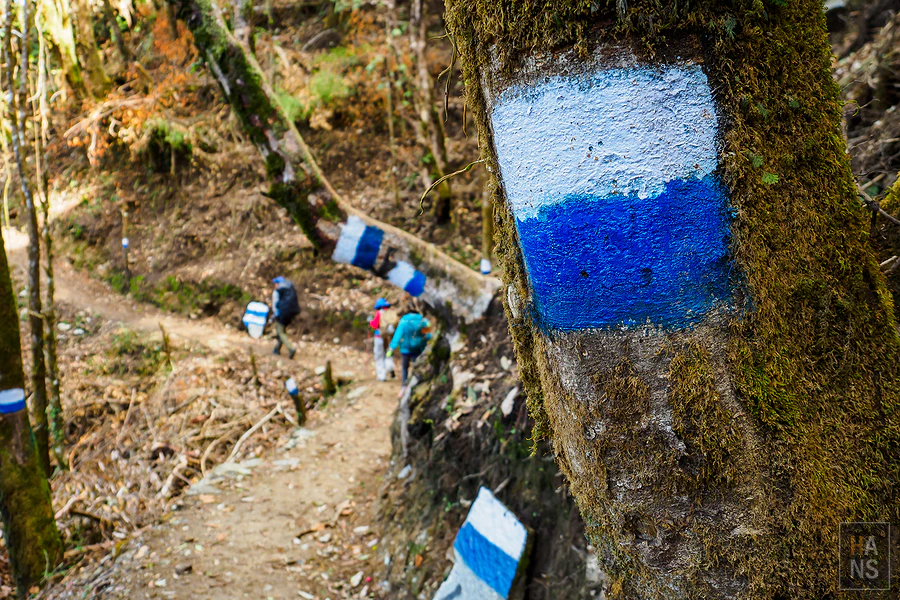 馬蹄山群健行 Mardi Himal Trek