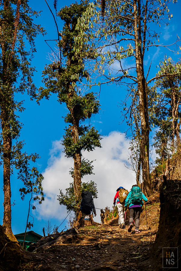 馬蹄山群健行 Mardi Himal Trek