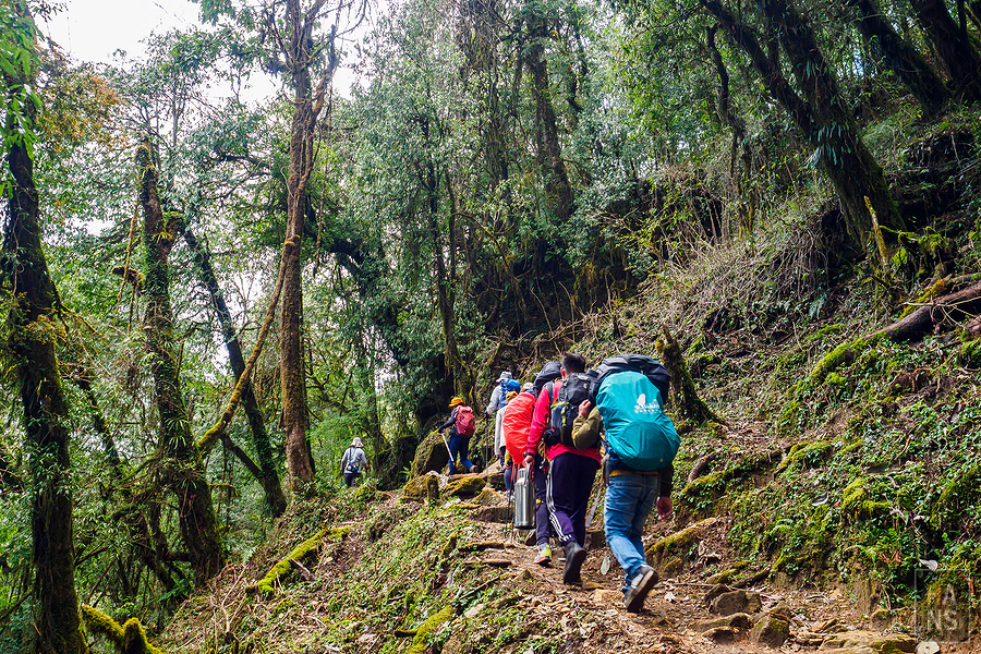 馬蹄山群健行 Mardi Himal Trek