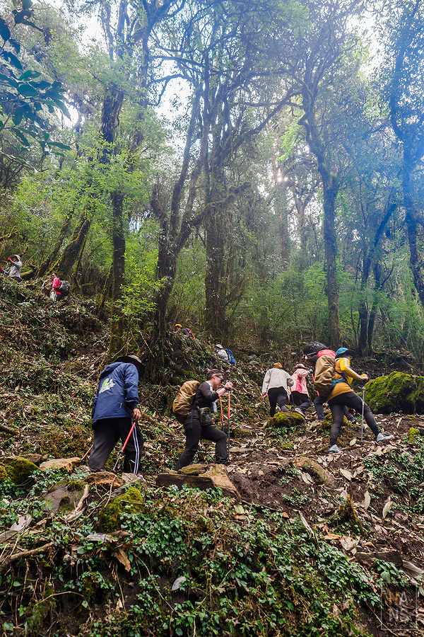 馬蹄山群健行 Mardi Himal Trek