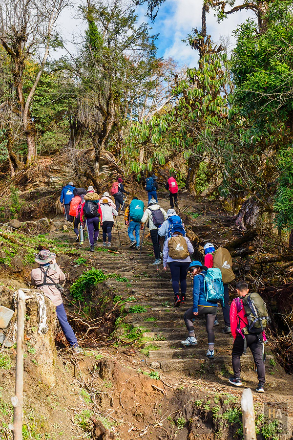 馬蹄山群健行 Mardi Himal Trek