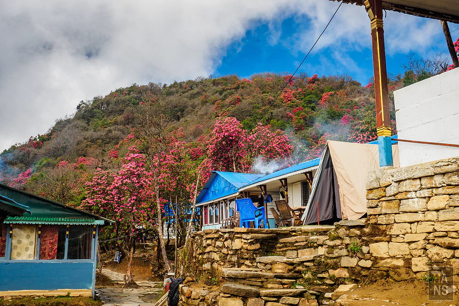 馬蹄山群健行 Mardi Himal Trek