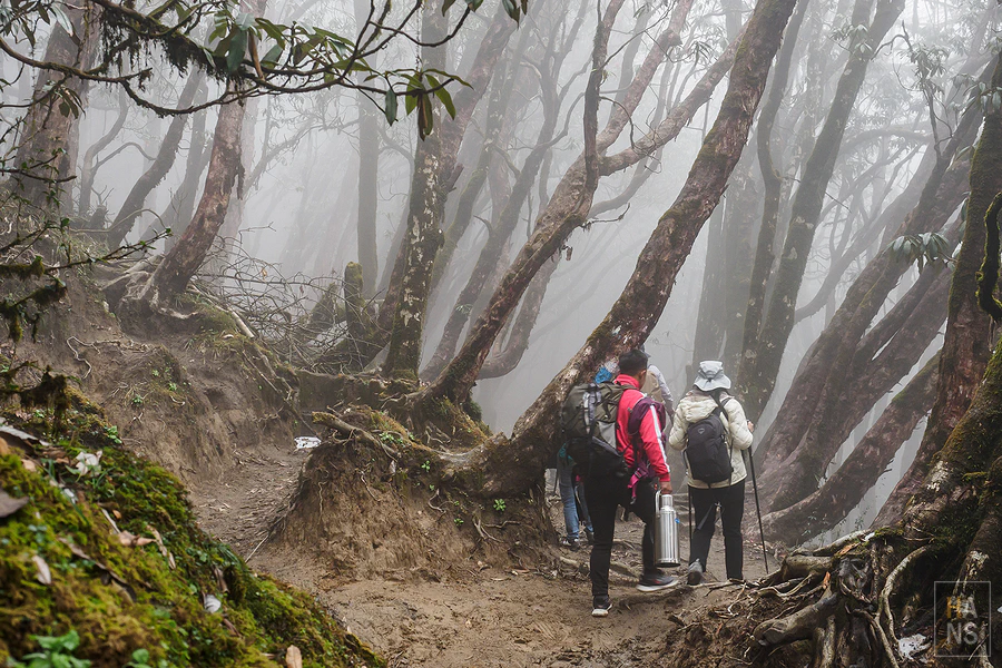 馬蹄山群健行 Mardi Himal Trek