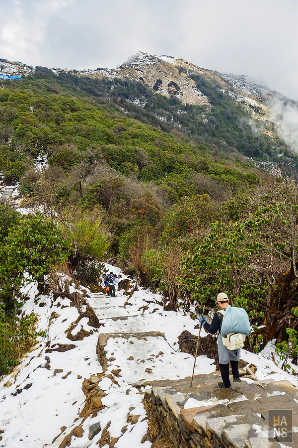 馬蹄山群健行 Mardi Himal Trek