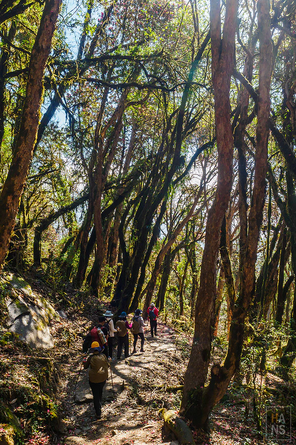 馬蹄山群健行 Mardi Himal Trek
