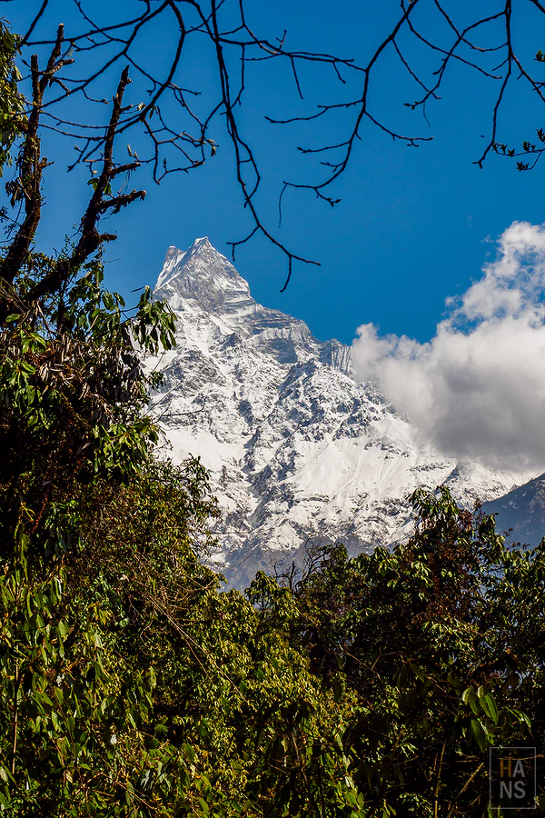 馬蹄山群健行 Mardi Himal Trek