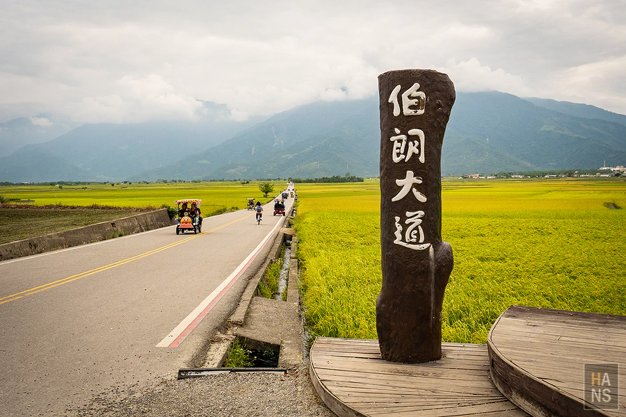台東池上伯朗大道_漂流223木雕烙燒