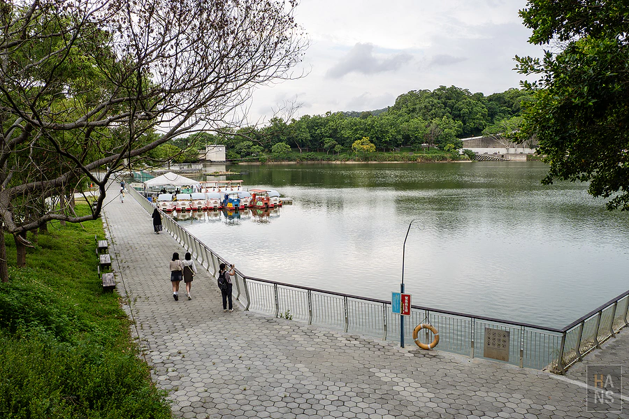 新竹青草湖，SUP立槳、天鵝船水上活動