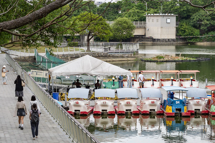 新竹青草湖，SUP立槳、天鵝船水上活動