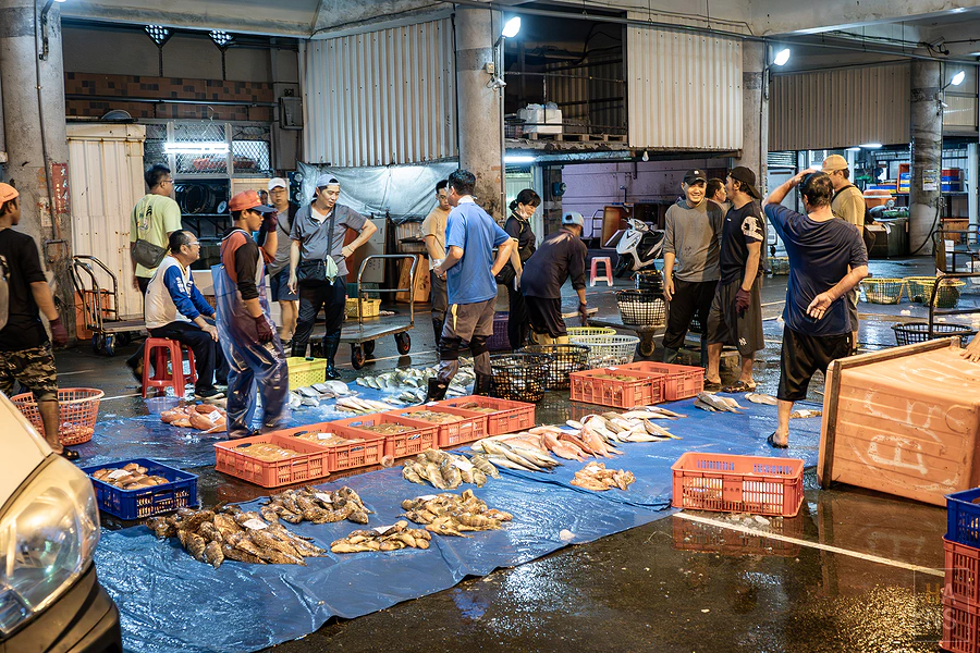 「年年有鰆」澎湖魚市場導覽